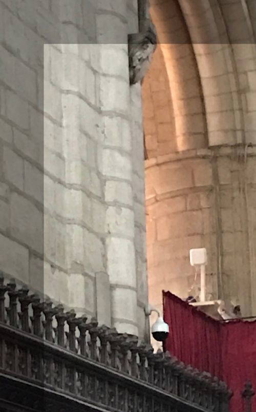 Wireless survey underway